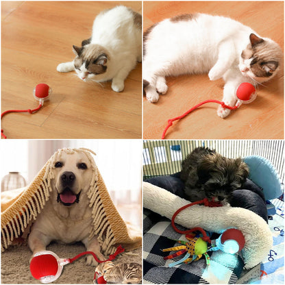 🐱🐶Smart automat de rulare Pet Ball